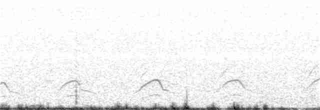 Длиннохвостый поморник - ML253038051