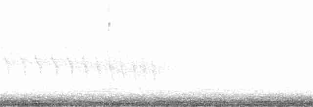 Grauschwanz-Dickichtschlüpfer - ML253049841