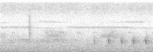 Serra Karıncakuşu (serrana/interposita) - ML253085971