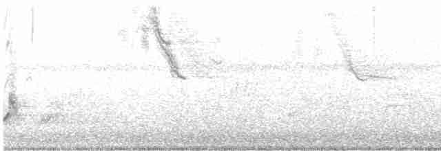 Crested Bobwhite (Spot-bellied) - ML253197281