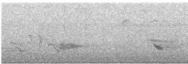 Kara Kanatlı Piranga - ML253341161