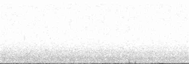 hrdlička černouchá - ML253349321