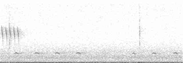 Chevêchette australe - ML253349431