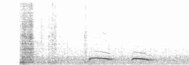 Кукушечья иглоногая сова - ML253354541