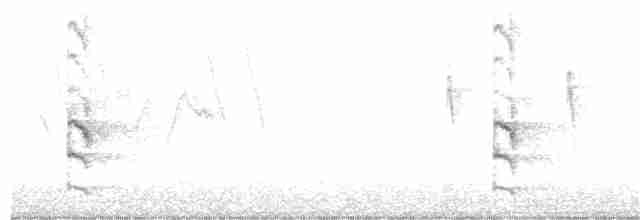 Каролинский погоныш - ML253484301