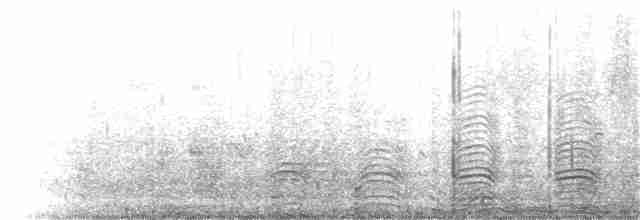 chaluha antarktická - ML253539161