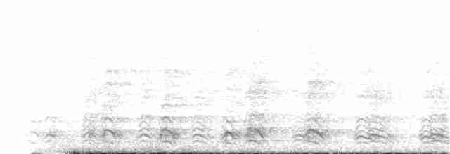Narcondamhornvogel - ML253565521