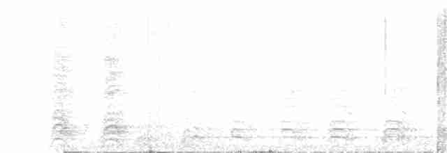 Narcondamhornvogel - ML253565911