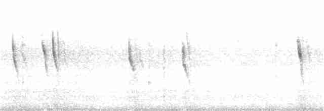 rorýs krátkoocasý - ML253763101