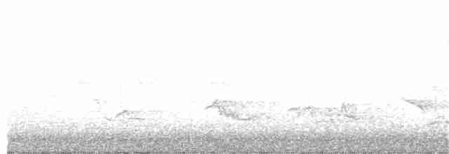 Тихоокеанский крапивник - ML253851311
