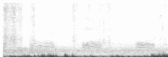 Cuervo Americano - ML253852371