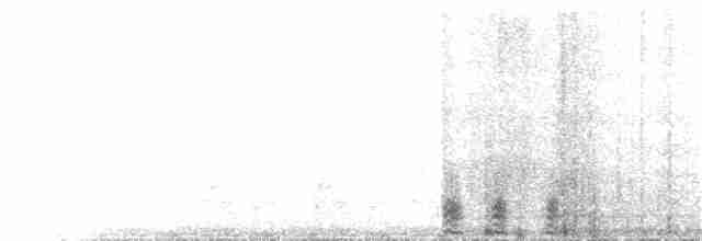 Gunnison Çalı Tavuğu - ML253852381