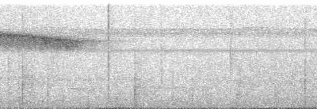 Пестрогорлый алапи (pyrrhonota) - ML253856