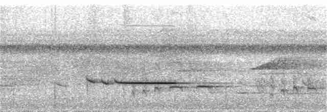 Striped Wren-Babbler - ML253868231