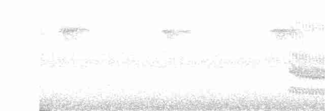 Collared Trogon - ML253916121