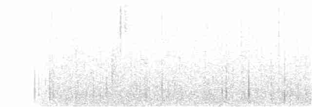 Turuncu Ardıç - ML25393801