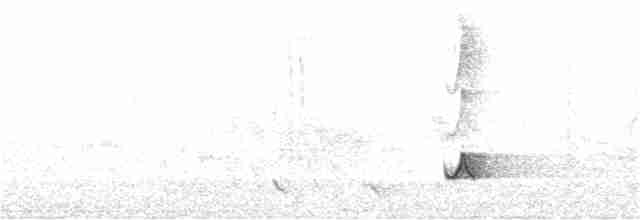 Ядлівчак сірий - ML253952111