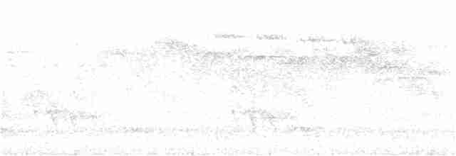 Ядлівчак сірий - ML253952221