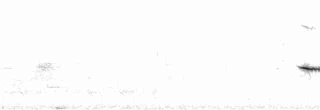 Fleckenpanthervogel - ML253952231