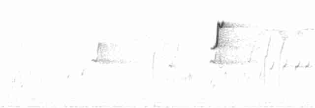 Белоглазый медолюб - ML253952331