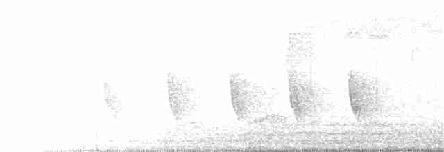 langhaleskredderfugl - ML253969521