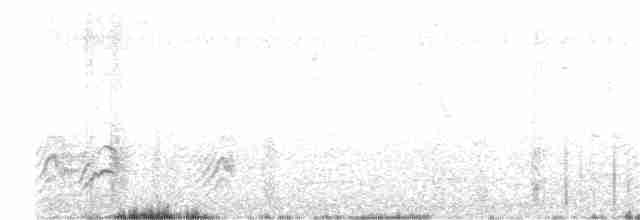 Белолобая щурка - ML253991151