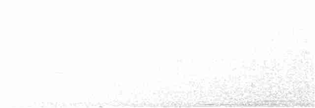 Дятел-куцохвіст чорночубий - ML253995701