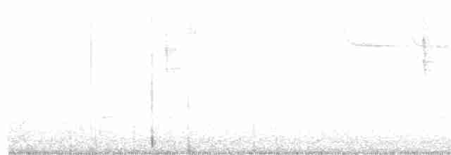 Тихоокеанский крапивник - ML254051821