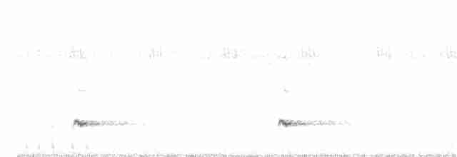 Small-billed Tinamou - ML254085481