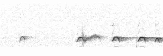 Chaparralgrasmücke - ML254140521