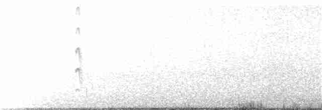 Common Tern - ML254260611