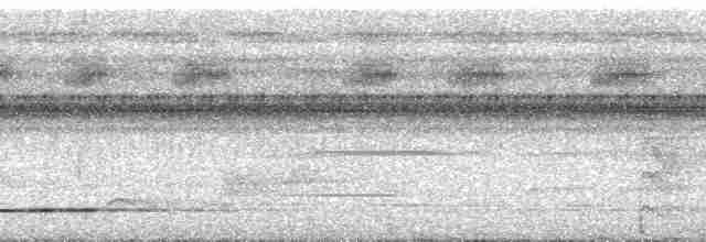 Gray-legged Tinamou - ML254269