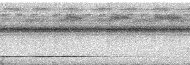 Gray-legged Tinamou - ML254272