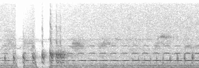 Streifenbrust-Ameisendrossel - ML25438