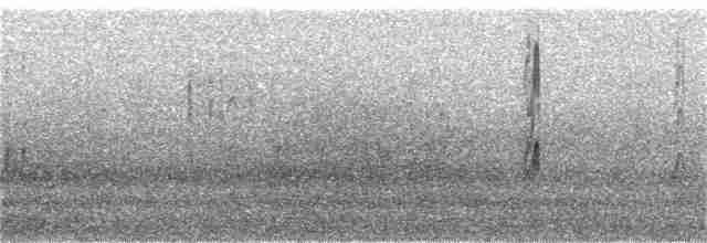 Bécasseau sanderling - ML254406001