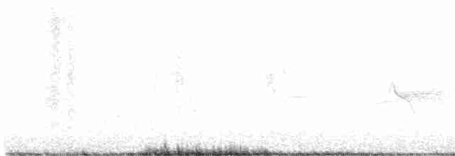 Evening Grosbeak (type 1) - ML254569891