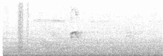 Evening Grosbeak (type 4) - ML254625191
