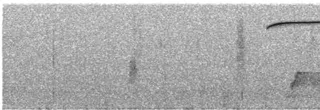 Spotted Quail-thrush - ML254633031