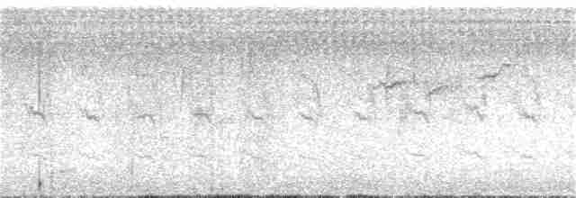 Дятел-смоктун білочеревий - ML254766561
