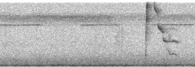 Морщинистоклювая ани - ML254779