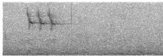Gray Wagtail - ML254789901