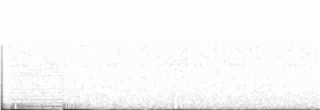 Lattice-tailed Trogon - ML254802381