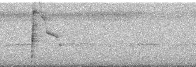 Морщинистоклювая ани - ML254803