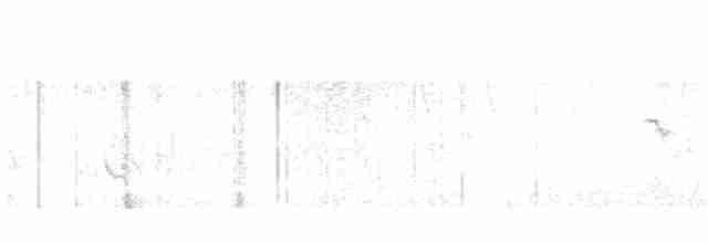 Пестрогрудый эспинеро - ML254823321