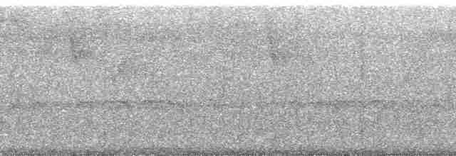 オウム目（インコ科 小さな種） - ML254839