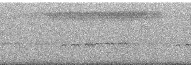 Морщинистоклювая ани - ML254901