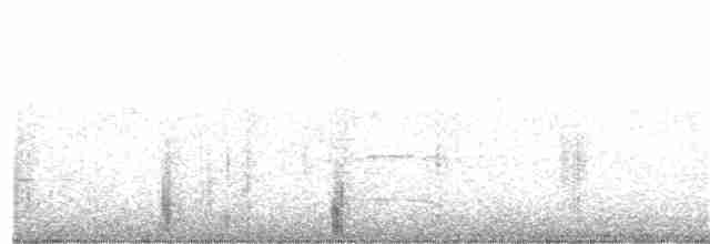 Striped Cuckoo - ML254928971