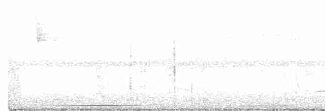 Crested Bobwhite - ML254992051