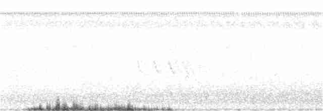 Трясогузковый певун - ML255069281