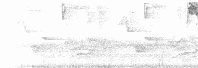 Серогрудый дромник - ML25510511